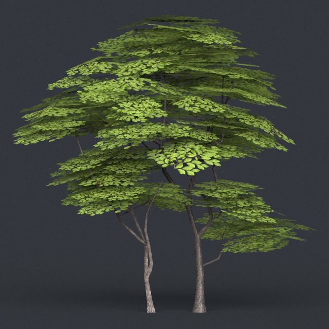 low poly tree 14 3D Model .c4d .max .obj .3ds .fbx .stl .blend 