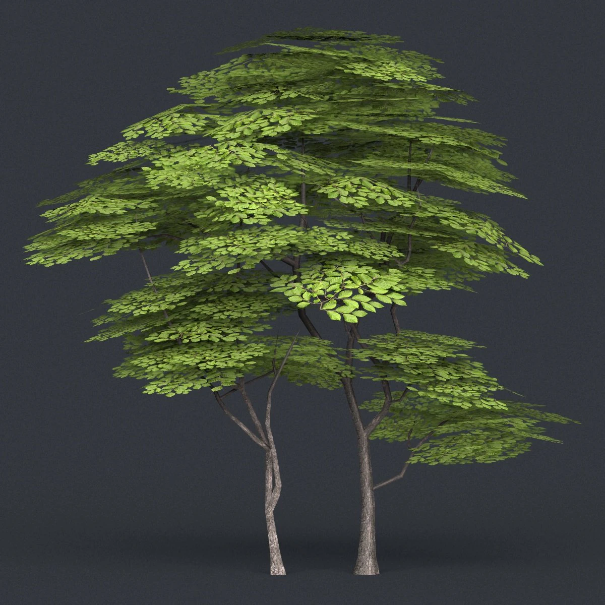 low poly tree 14 3D Model .c4d .max .obj .3ds .fbx .stl .blend 