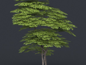 low poly tree 14 3D Model