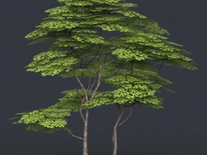 low poly tree 14 3D Model