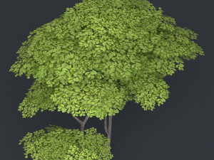 low poly tree 14 3D Model