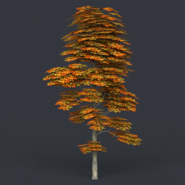 low poly tree 15 3D 模型 .c4d .max .obj .3ds .fbx .stl .blend 