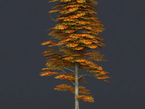 low poly tree 15 3D Model