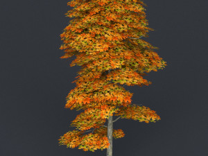low poly tree 15 3D 模型