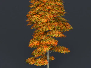 low poly tree 15 3D Model