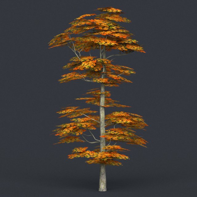 low poly tree 16 3D-Modell .c4d .max .obj .3ds .fbx .stl .blend 