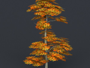 low poly tree 16 3D-Modell