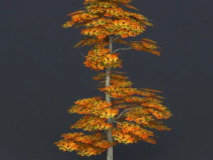 low poly tree 16 3D Model