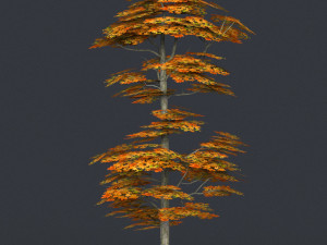 low poly tree 16 3D-Modell