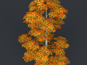 low poly tree 16 3D-Modell