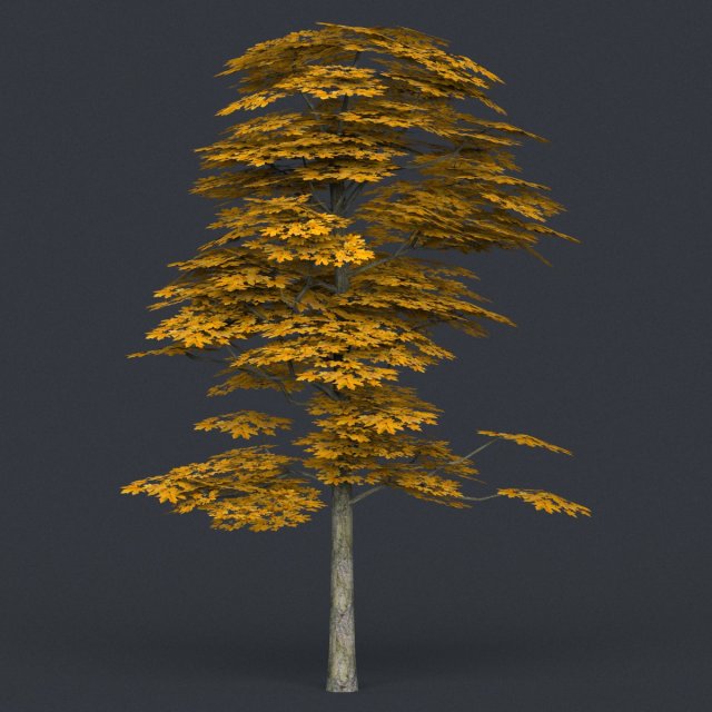 low poly tree 17 Modello 3D .c4d .max .obj .3ds .fbx .stl .blend 