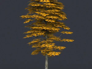 low poly tree 17 3D Model