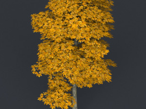 low poly tree 17 Modello 3D