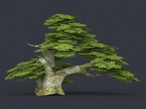 albero poli basso 18 Modello 3D