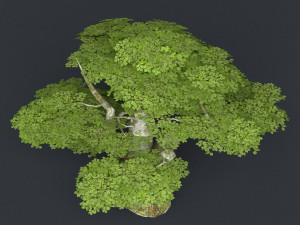 low poly tree 18 3Dモデル