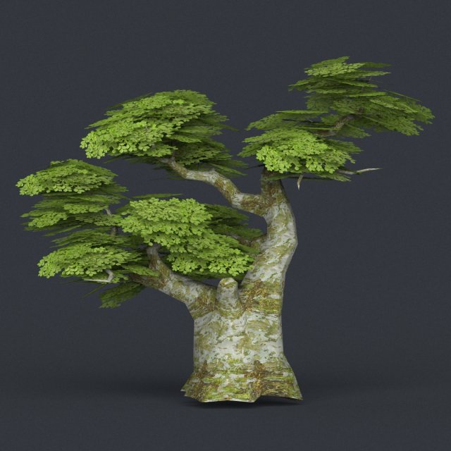 low poly tree 19 3D 模型 .c4d .max .obj .3ds .fbx .stl .blend 