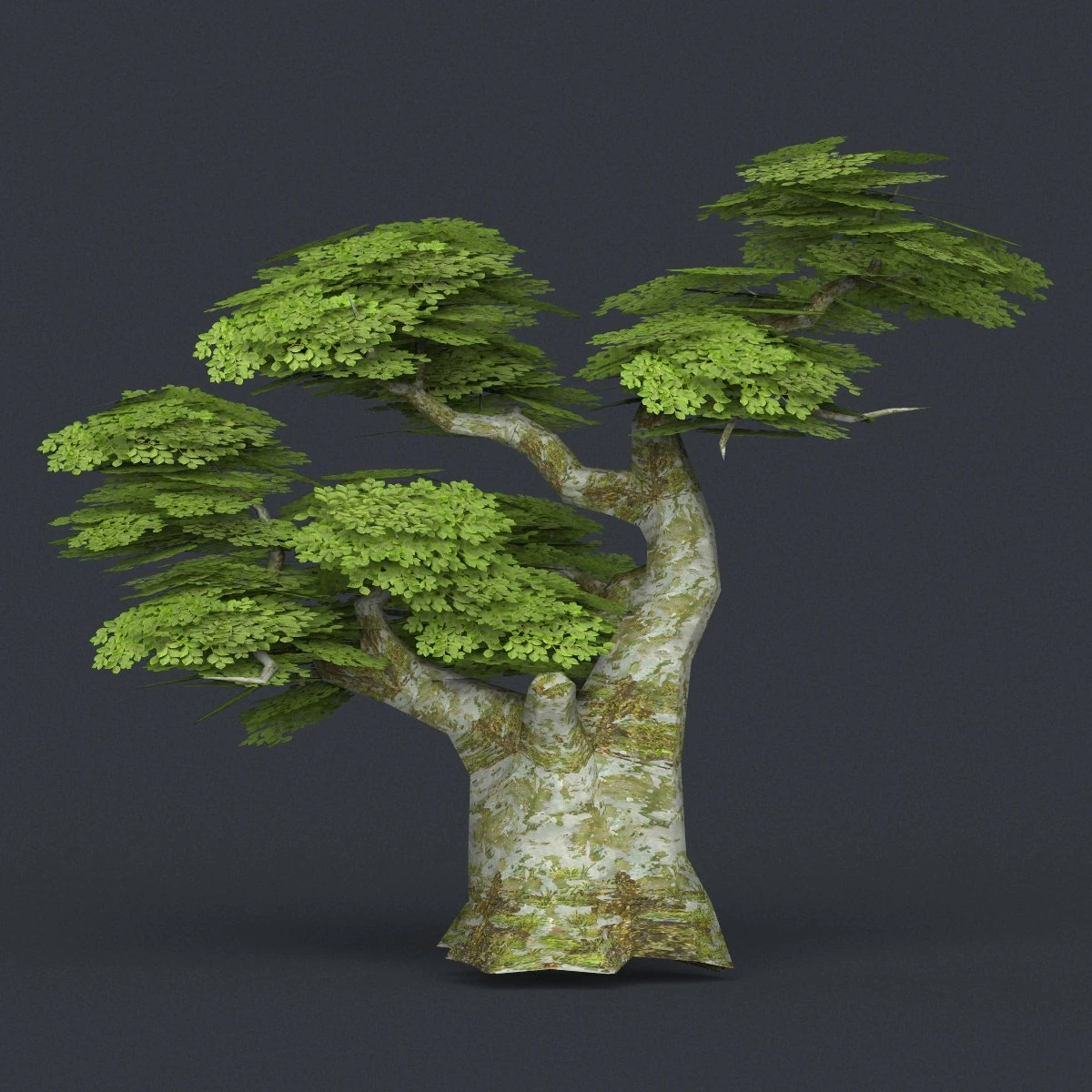 low poly tree 19 3D Model .c4d .max .obj .3ds .fbx .stl .blend 