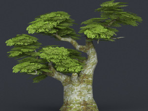 low poly tree 19 3D मॉडल
