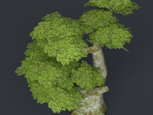 low poly tree 19 3D 模型