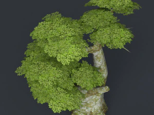 low poly tree 19 3D Model