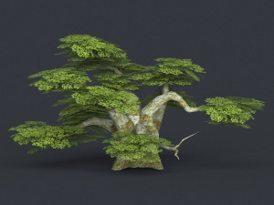 low poly tree 20 Model 3D