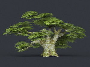 low poly tree 20 Model 3D