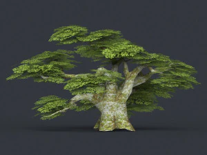 low poly tree 20 3D Model