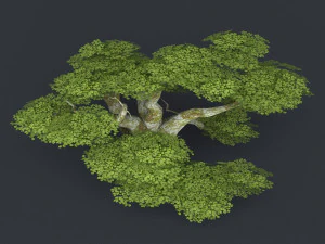low poly tree 20 3D Model