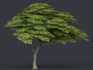 low poly 10 tree collection 02 Modèle 3D