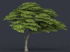 low poly 10 tree collection 02 3D Model