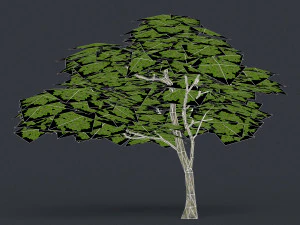 low poly 10 tree collection 02 3D Model