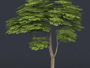 low poly 10 tree collection 02 3D Model