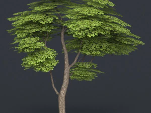 low poly 10 tree collection 02 3D Model