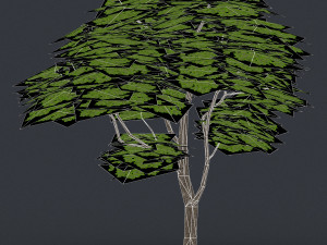 low poly 10 tree collection 02 Modèle 3D