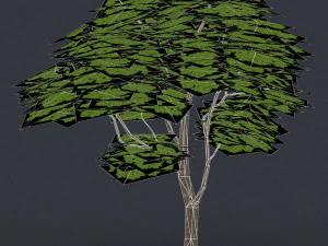 low poly 10 tree collection 02 3D Model