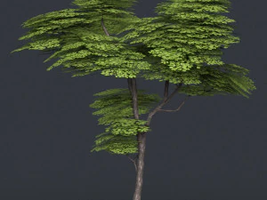 low poly 10 tree collection 02 3D Model