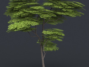 low poly 10 tree collection 02 Modèle 3D