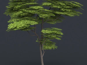 low poly 10 tree collection 02 3D Model