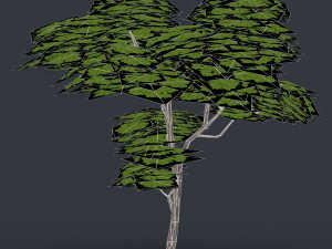 low poly 10 tree collection 02 Modèle 3D