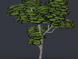 low poly 10 tree collection 02 3D Model