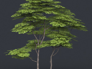 low poly 10 tree collection 02 Modèle 3D