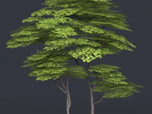 low poly 10 tree collection 02 3D Model