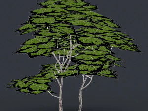 low poly 10 tree collection 02 3D Model