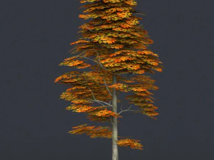 low poly 10 tree collection 02 3D Model