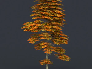 low poly 10 tree collection 02 3D Model