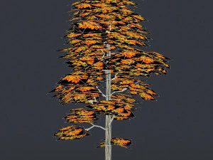 low poly 10 tree collection 02 3D Model