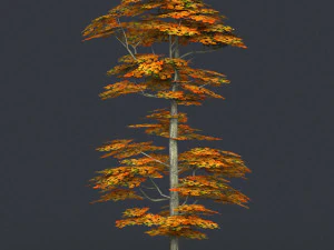 low poly 10 tree collection 02 3D Model