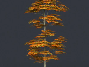low poly 10 tree collection 02 3D Model