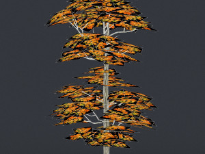 low poly 10 tree collection 02 Modèle 3D