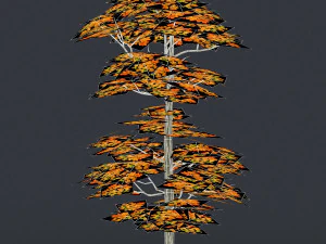 low poly 10 tree collection 02 3D Model